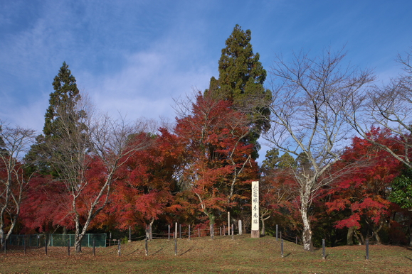 f0178635_2312888.jpg