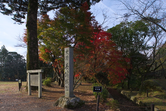f0178635_231584.jpg