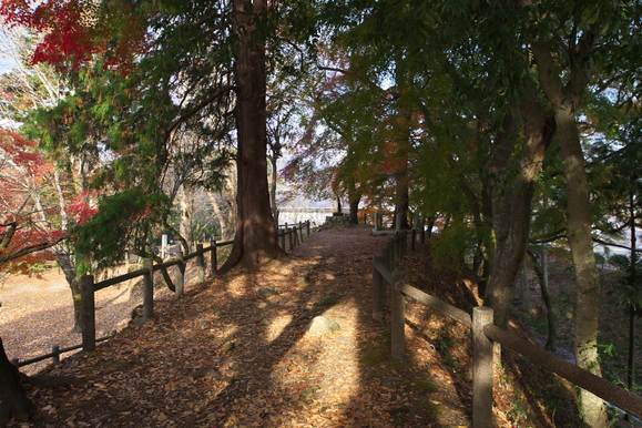 f0178635_2335283.jpg