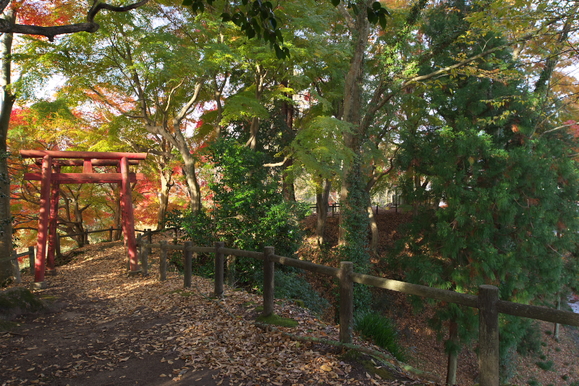 f0178635_2342279.jpg