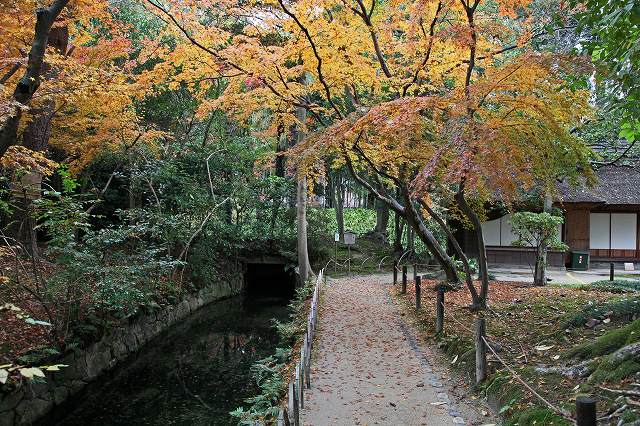 a0242438_20573999.jpg