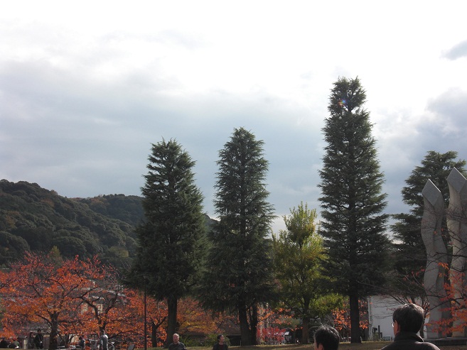 b0189343_829197.jpg