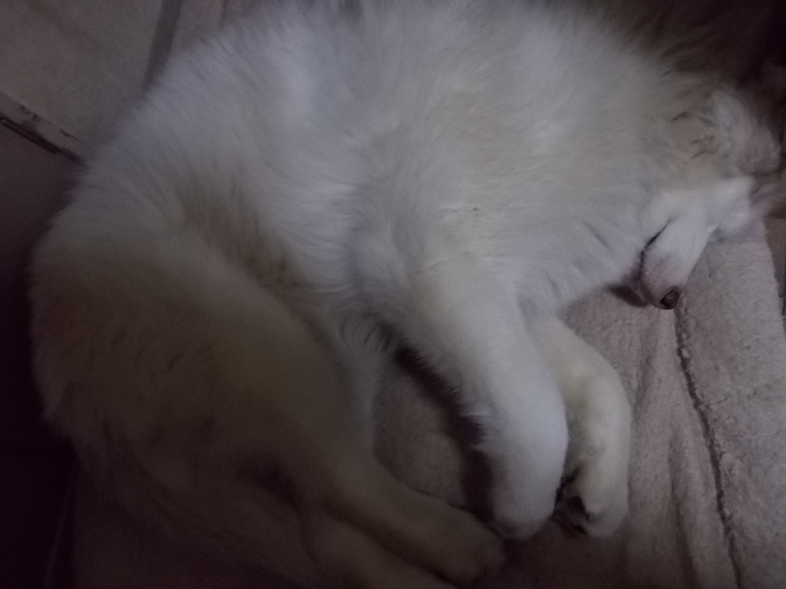 e0121548_2019092.jpg