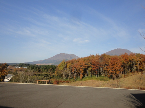 e0169149_2353630.jpg