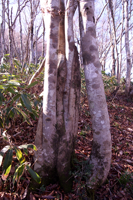 f0214649_17113956.jpg
