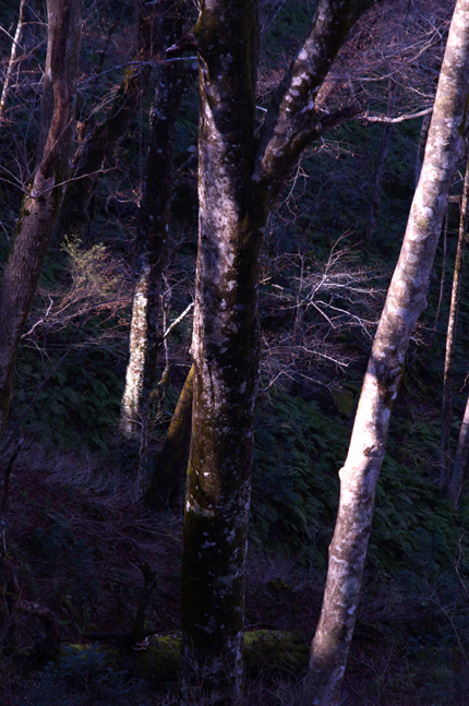 f0214649_1714458.jpg