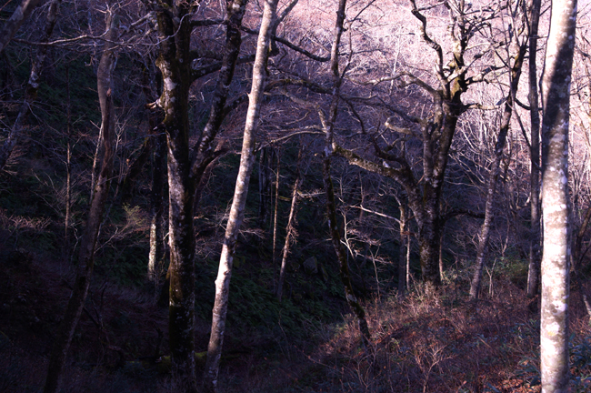 f0214649_171501.jpg
