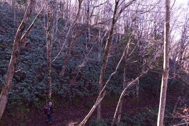 f0214649_1723443.jpg