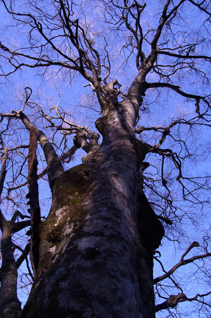 f0214649_17255064.jpg