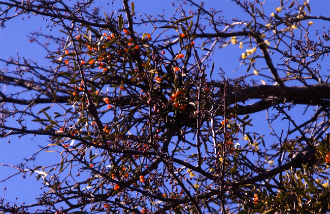 f0214649_1730867.jpg
