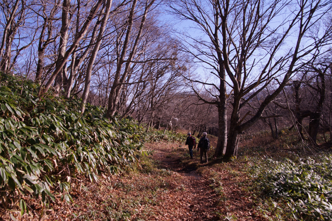 f0214649_17315056.jpg