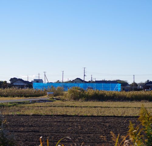 e0019550_2134625.jpg