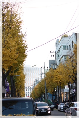 f0127750_15415983.jpg