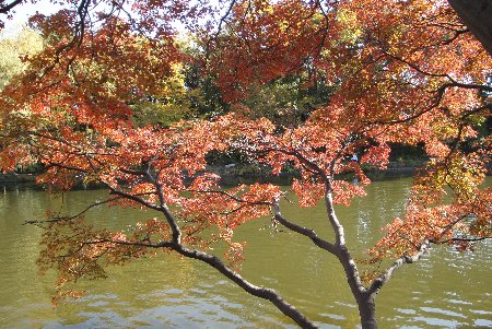 c0055552_22574622.jpg