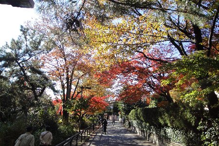 c0055552_22581797.jpg