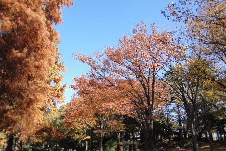 c0055552_22584447.jpg