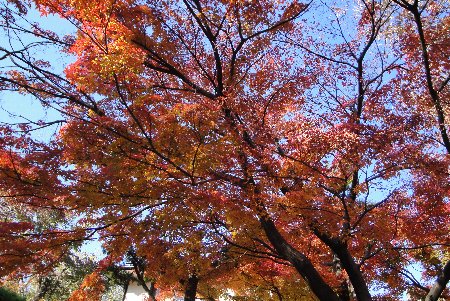 c0055552_2258657.jpg