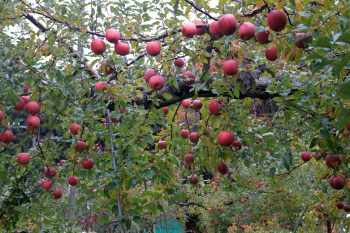 f0232758_14481588.jpg