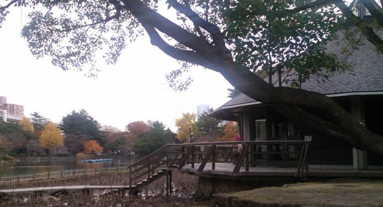 e0271461_1749144.jpg