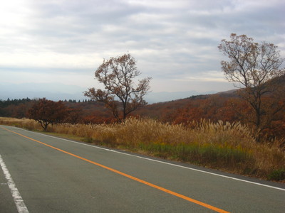 b0267163_21294293.jpg