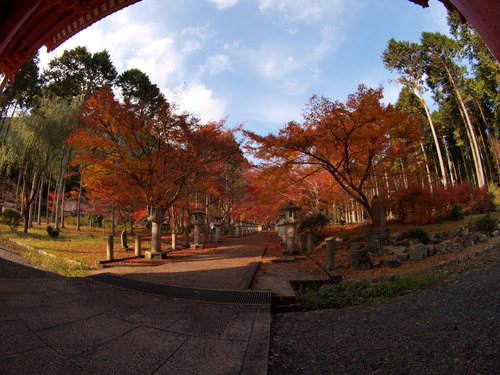 e0165863_751048.jpg