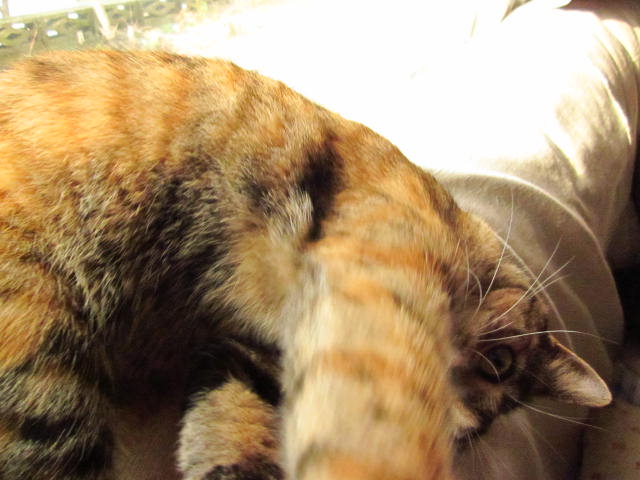 f0132565_1524269.jpg