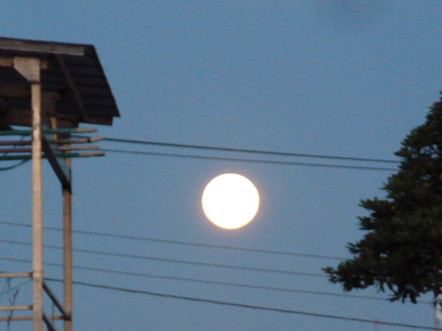 e0278968_2216895.jpg