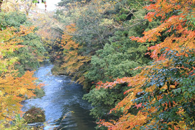 c0117570_15594680.jpg