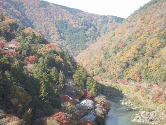 a0165872_19473249.jpg