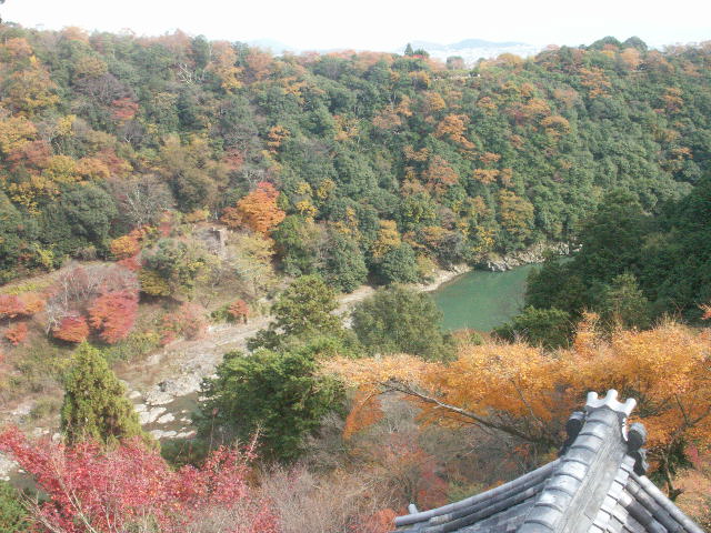 a0165872_19543182.jpg