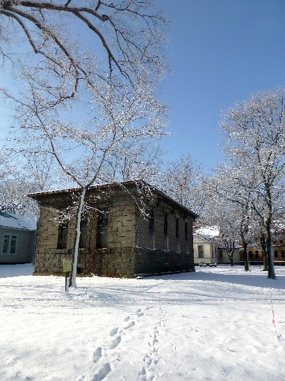 d0084473_2123182.jpg
