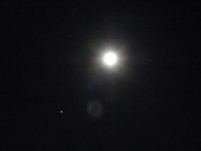 d0109373_024494.jpg