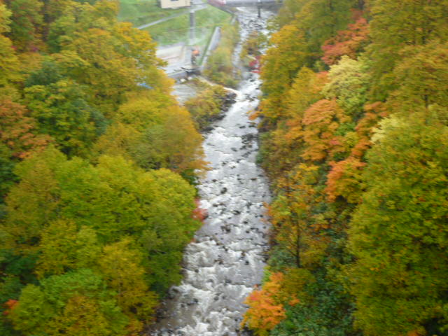 e0165577_10324942.jpg