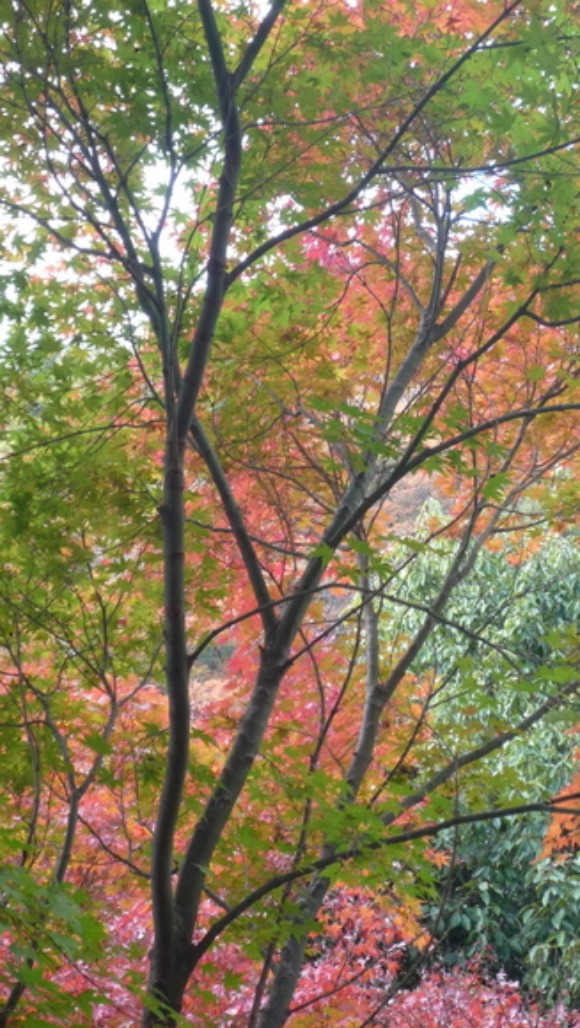 a0278382_17213767.jpg