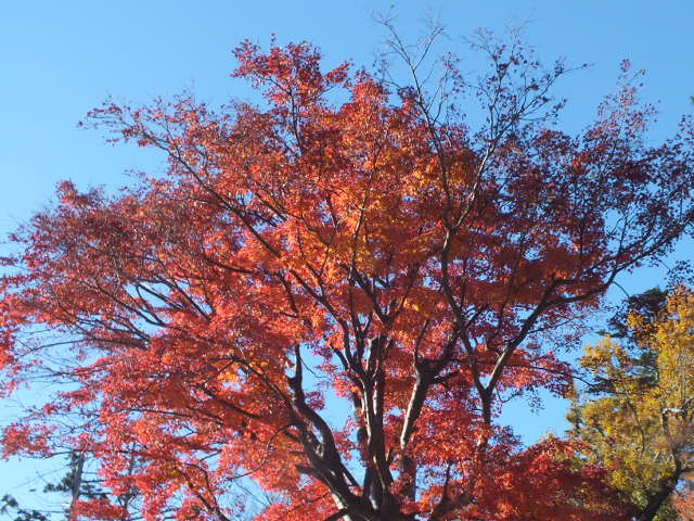 e0145782_19181663.jpg