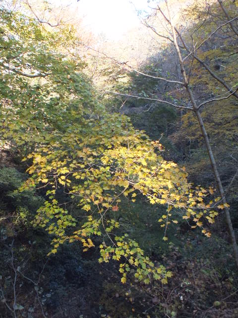 e0145782_19194471.jpg