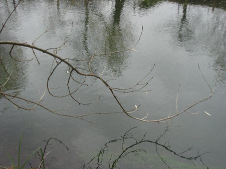 a0247585_6104282.jpg