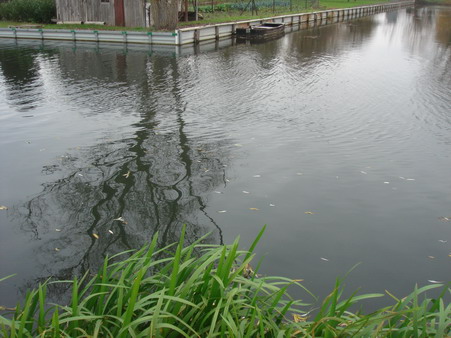 a0247585_6124095.jpg