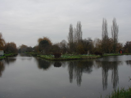 a0247585_6142458.jpg