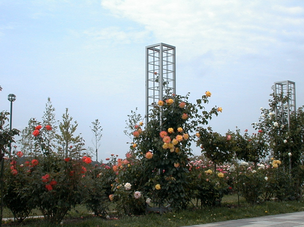 b0169987_22283849.jpg