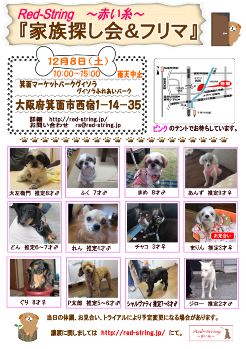 b0237894_2034730.png