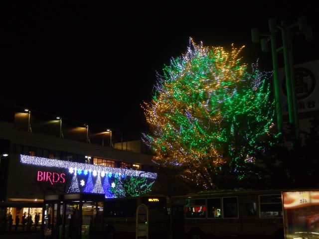f0130894_2217325.jpg