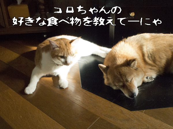 b0141397_11152100.jpg