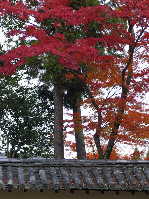 b0138101_20595266.jpg