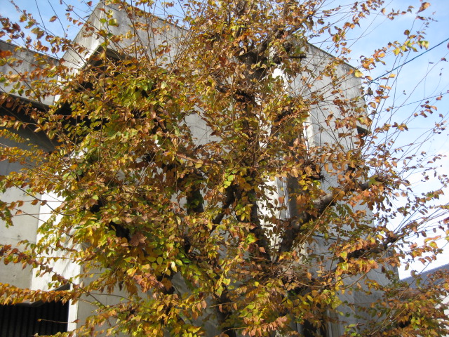 b0289206_13135356.jpg