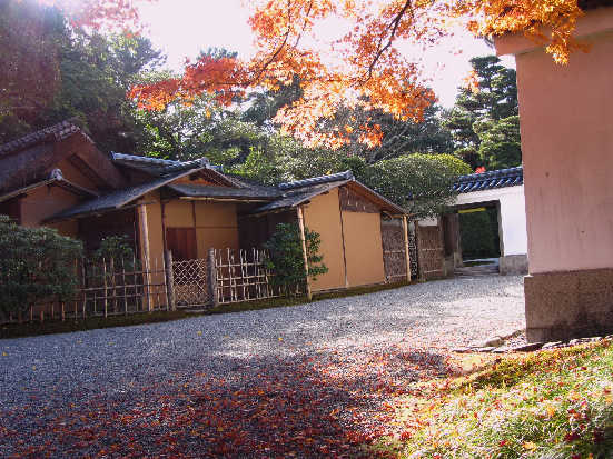 d0154609_19442459.jpg