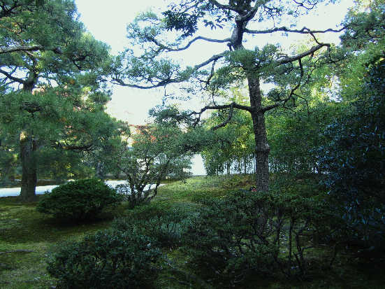 d0154609_19514893.jpg