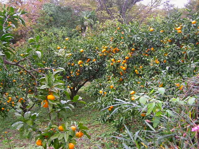 c0248013_1636287.jpg