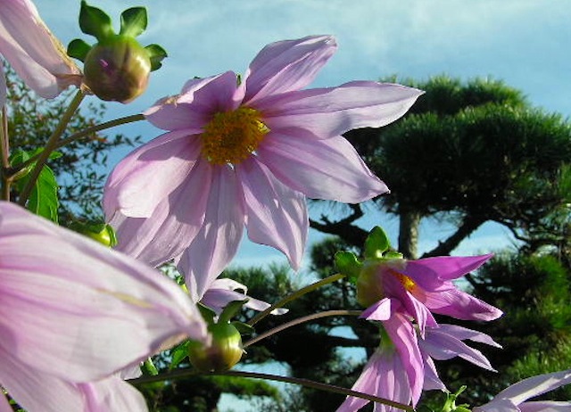 c0248013_1645529.jpg