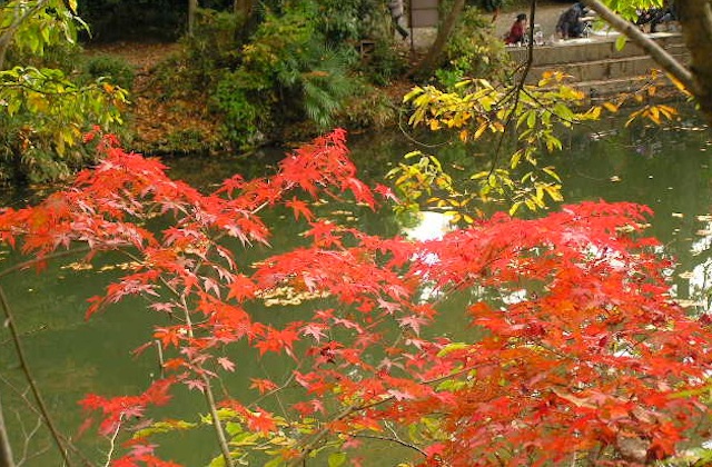c0248013_1716221.jpg